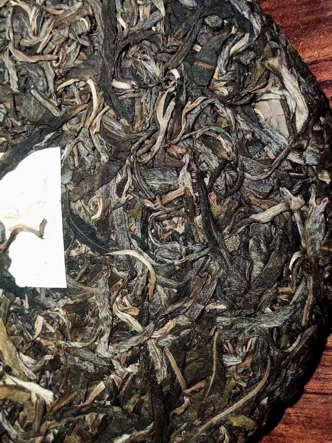 Disney Men's Mickey and Friends Button Down Shirt