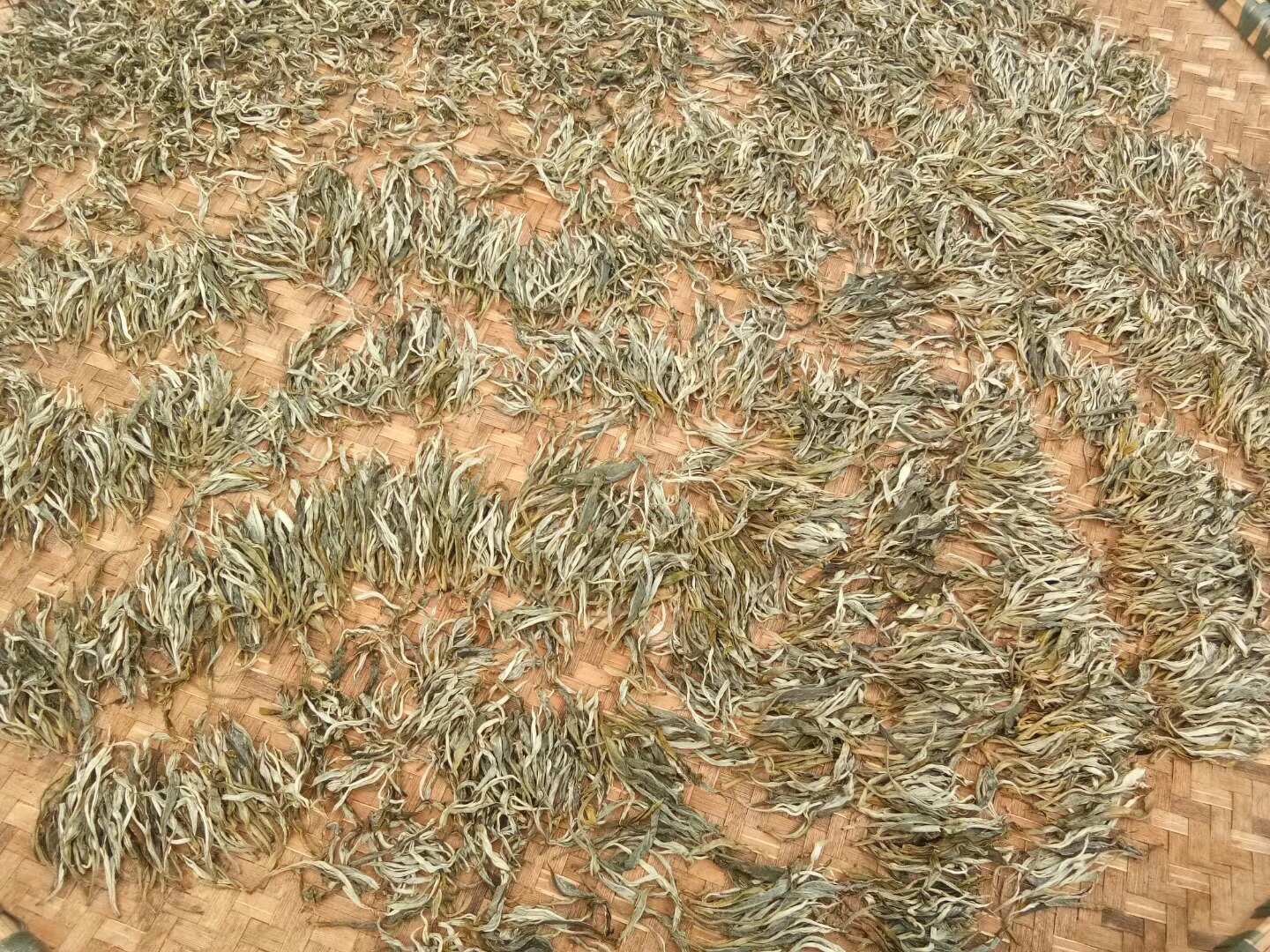 OtterBox Symmetry Fitted Hard Shell Case for iPhone 15 Pro Max