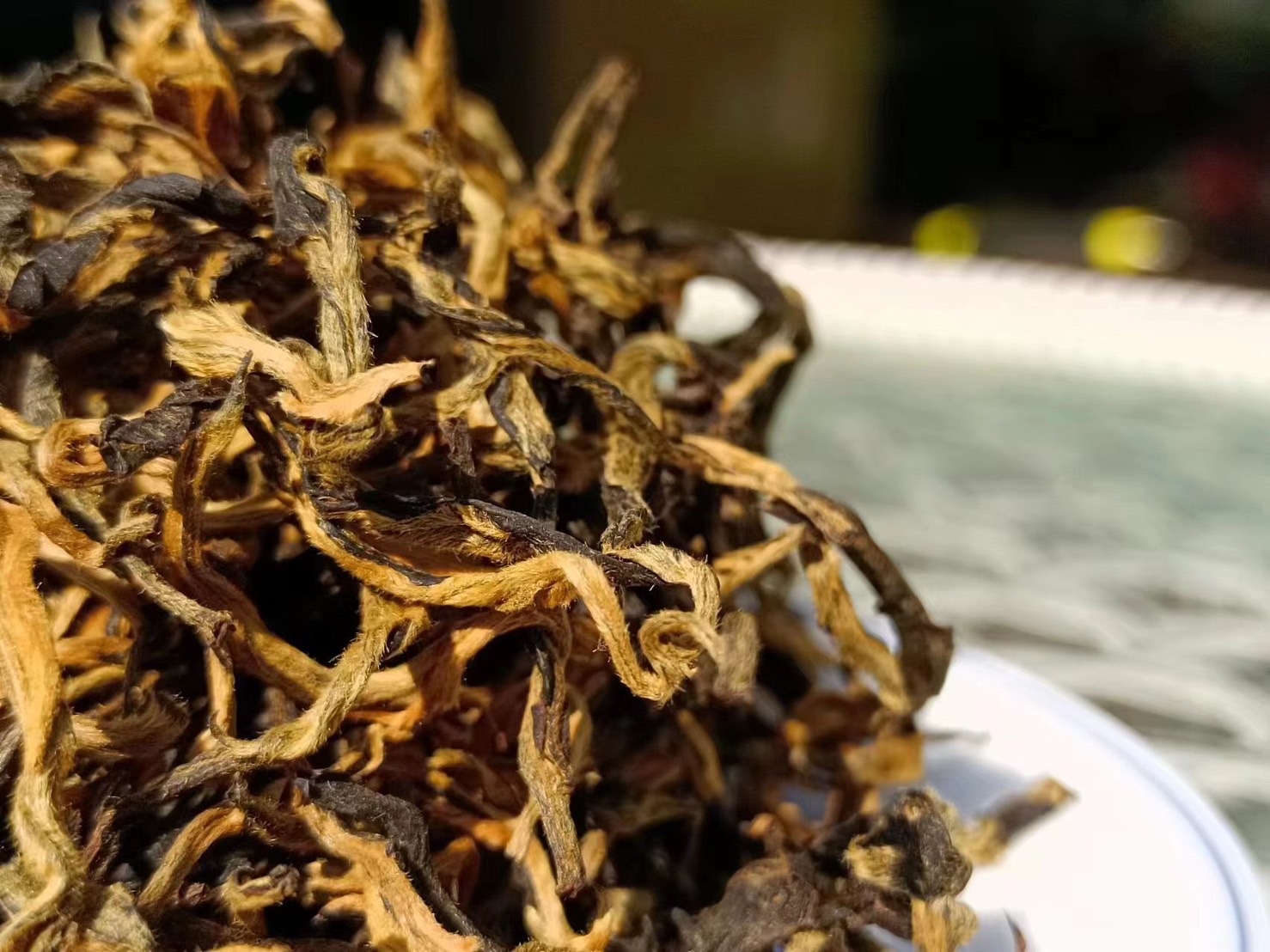 Men Clothing & Fashion